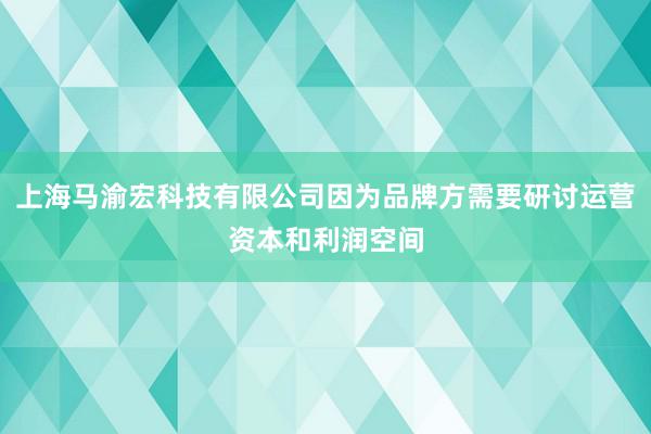 上海马渝宏科技有限公司因为品牌方需要研讨运营资本和利润空间