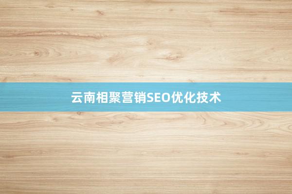 云南相聚营销SEO优化技术