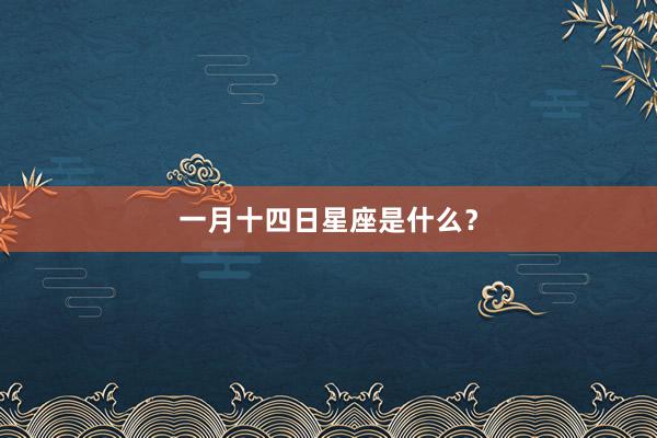 一月十四日星座是什么?